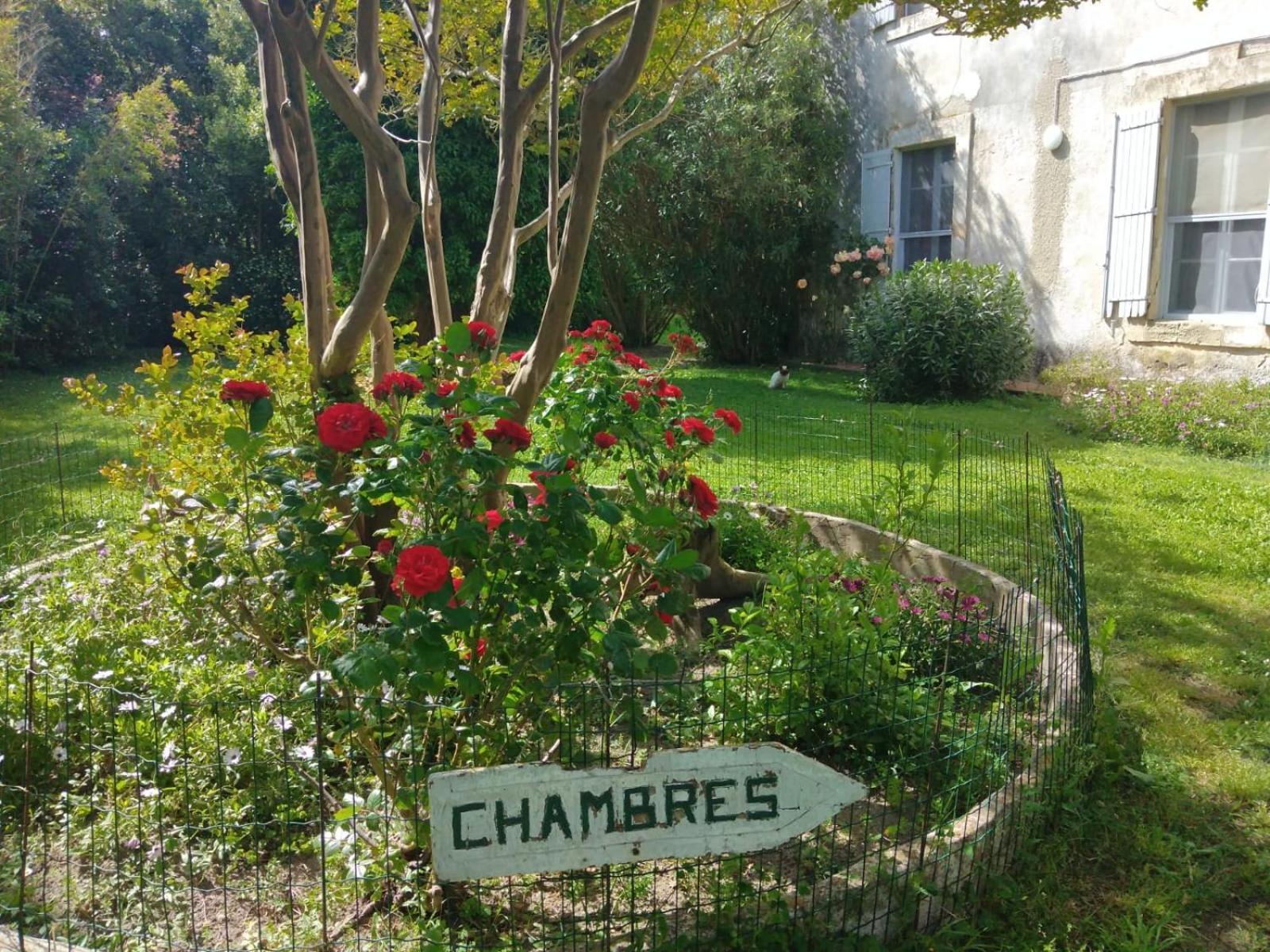 Le Mas D'Icard Saintes-Maries-de-la-Mer Exterior photo